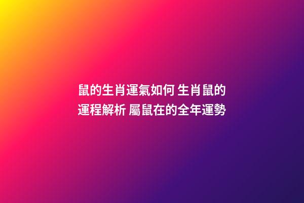 鼠的生肖運氣如何 生肖鼠的運程解析 屬鼠在的全年運勢-第1張-觀點-玄機派
